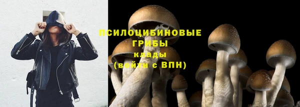 стаф Пересвет