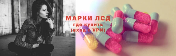 ПСИЛОЦИБИНОВЫЕ ГРИБЫ Осинники
