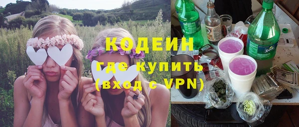 стаф Пересвет