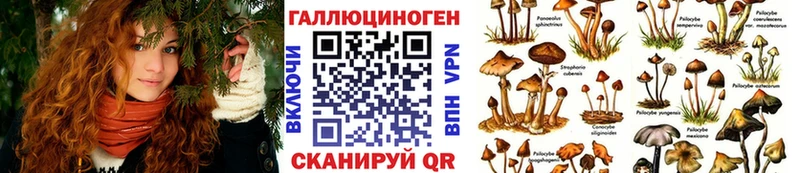 Псилоцибиновые грибы мицелий  купить закладку  Златоуст 