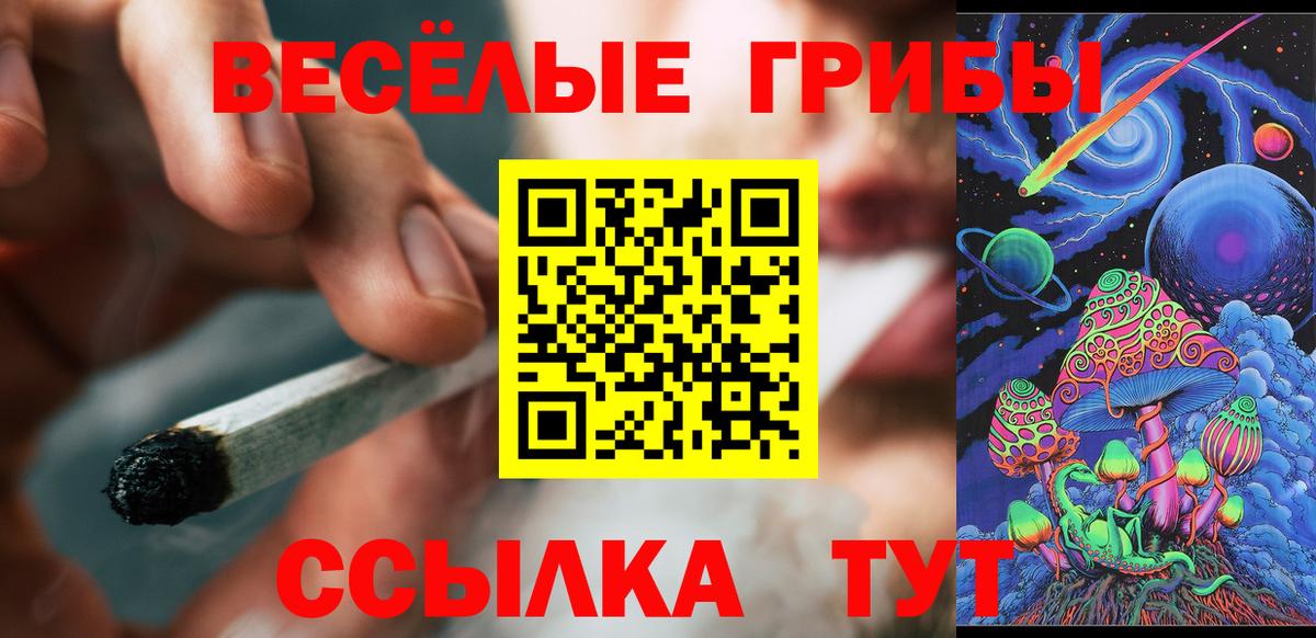 Псилоцибиновые грибы Psilocybe  Златоуст 