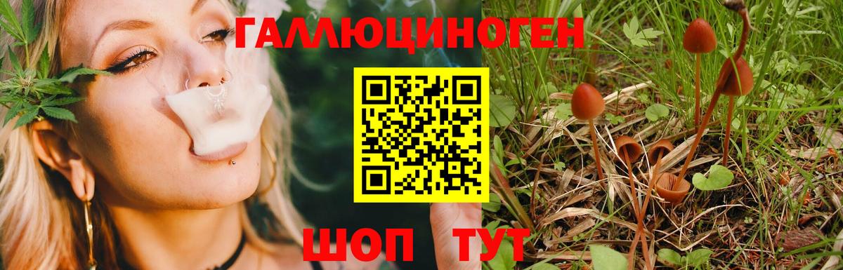 Златоуст  Галлюциногенные грибы Psilocybe  Вход с VPN 