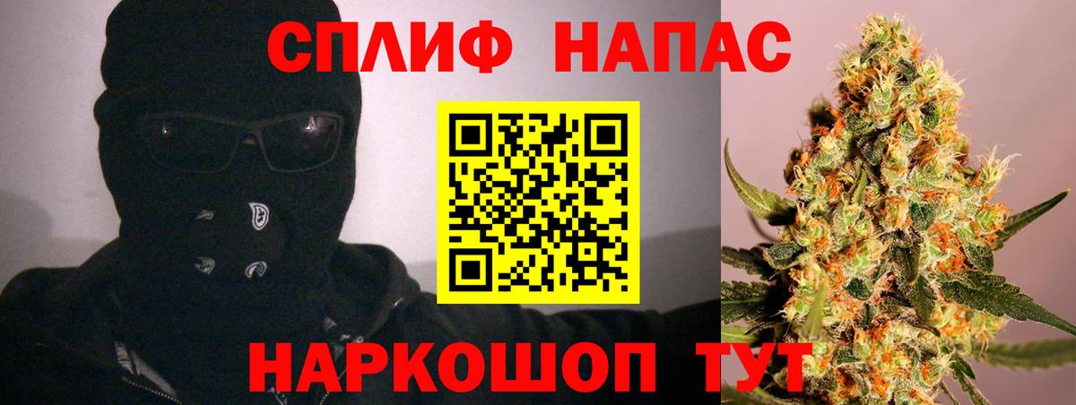 МАРИХУАНА семена  Златоуст  Конопля индика  МАРИХУАНА OG Kush 